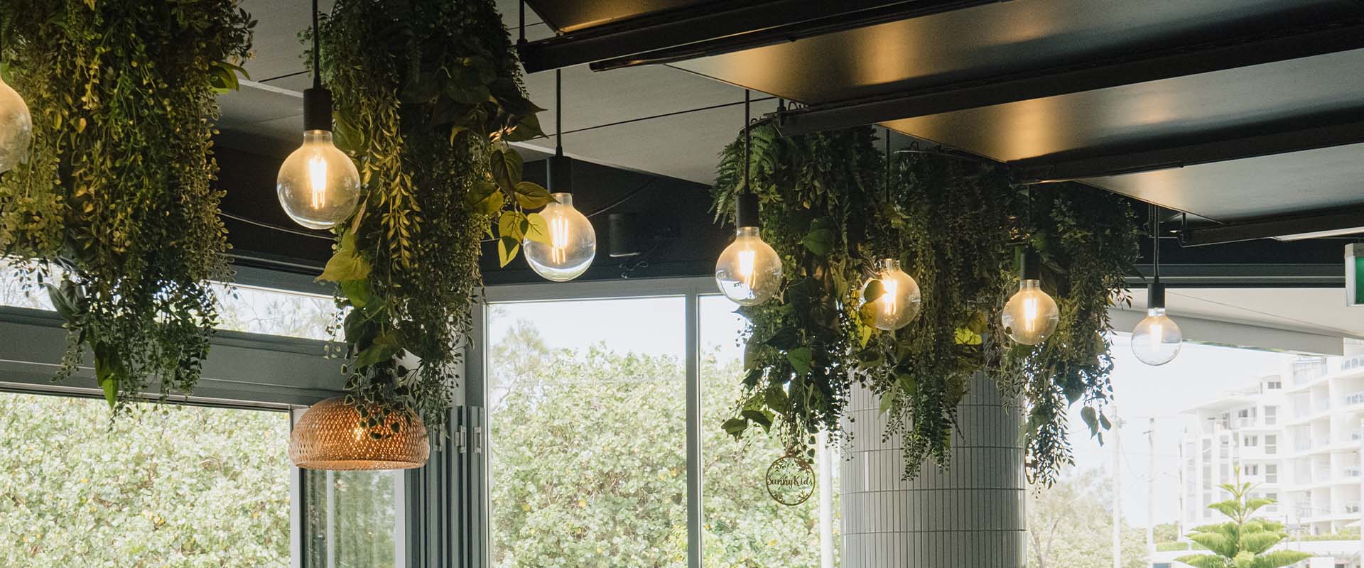 plants hanging from ceiling